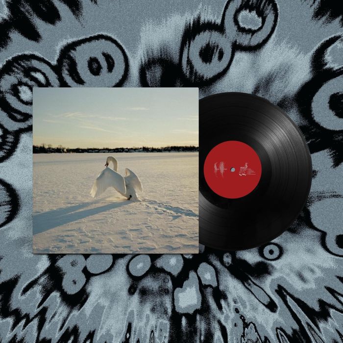 SOUR WIDOWS - SIGIL