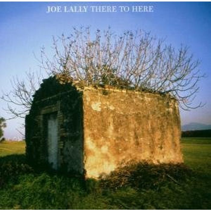 JOE LALLY - THERE TO HERE