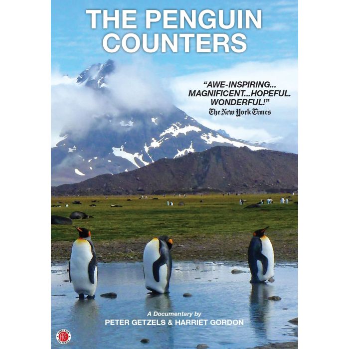 PENGUIN COUNTERS