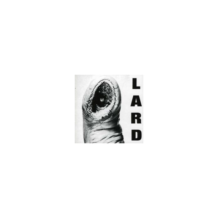 LARD - POWER OF LARD