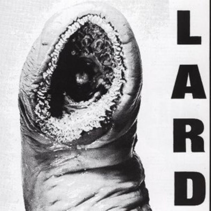 LARD - POWER OF LARD