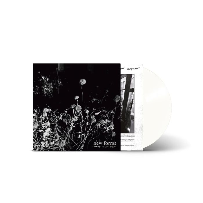 NEW FORMS - NOTHING'S SACRED ANYMORE (THREADBARE CLEAR VINYL)