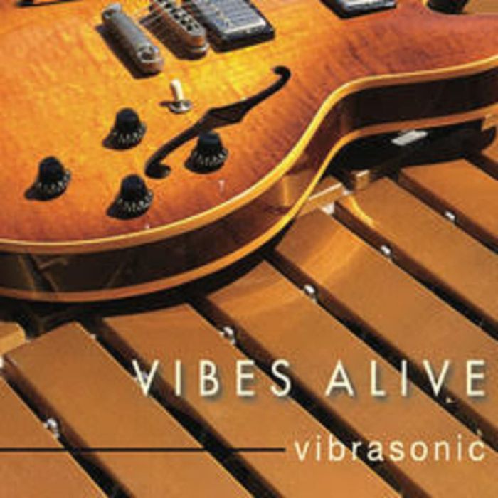 VIBES ALIVE - VIBRASONIC