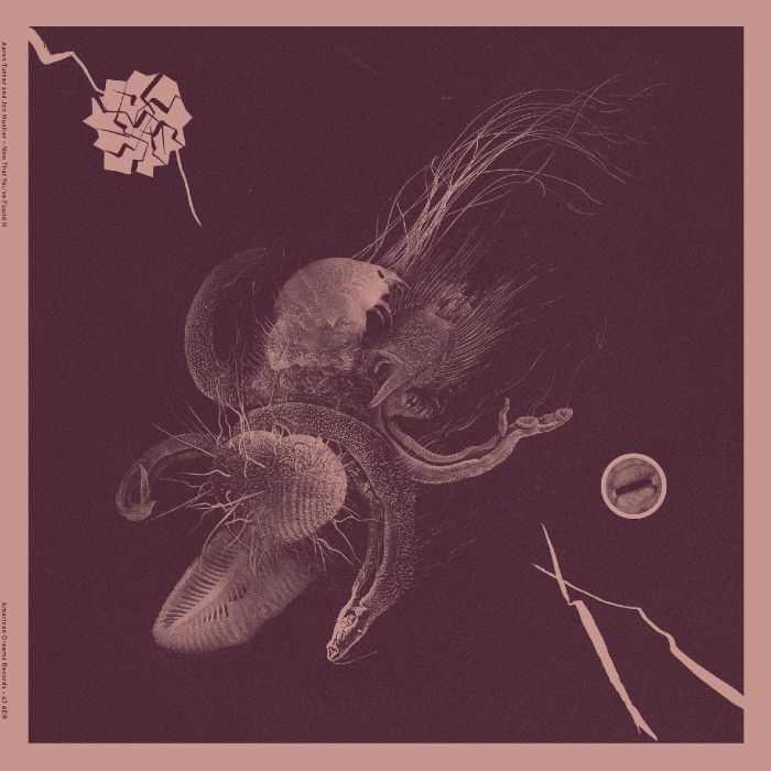 TURNER,AARON & JON MUELLER - NOW THAT YOU'VE FOUND IT