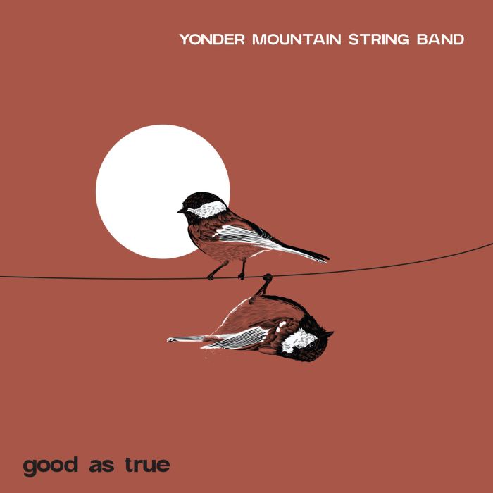 YONDER MOUNTAIN STRING BAND - GOOD AS TRUE