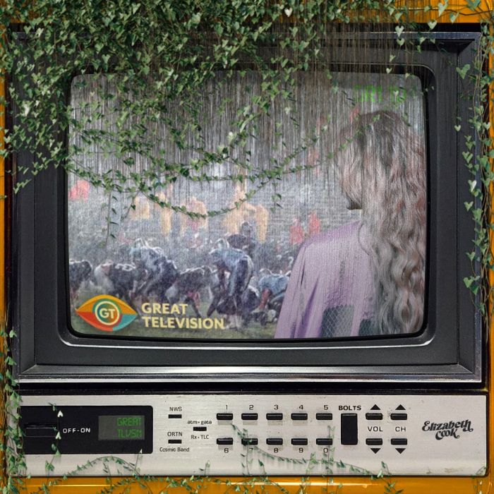 ELIZABETH COOK - GREAT TELEVISION