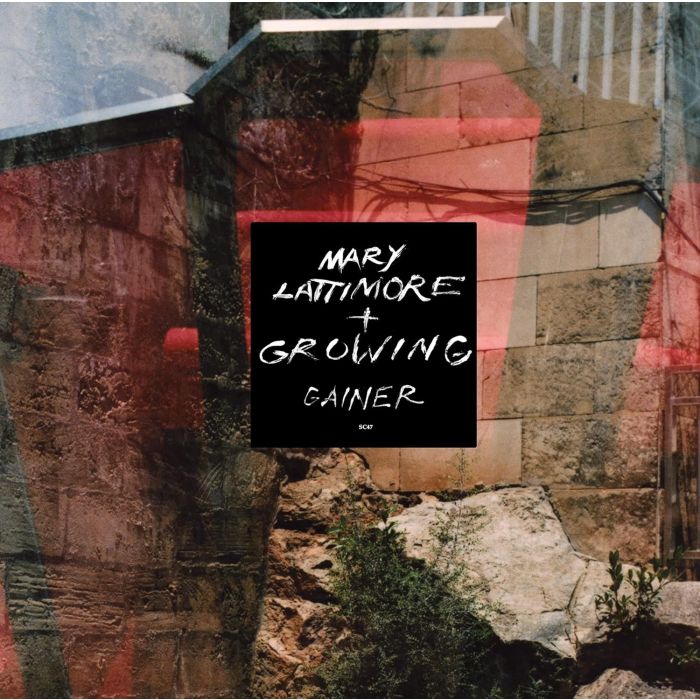 LATTIMORE,MARY & GROWING - GAINER