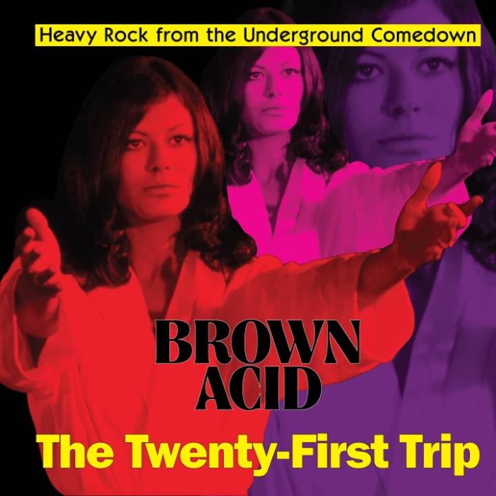 VARIOUS ARTISTS - BROWN ACID - THE TWENTY-FIRST TRIP