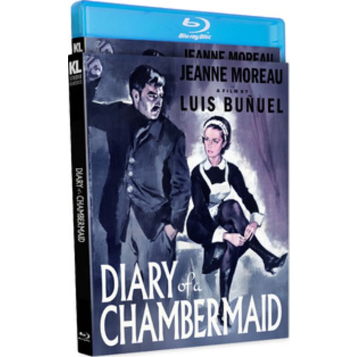 DIARY OF A CHAMBERMAID
