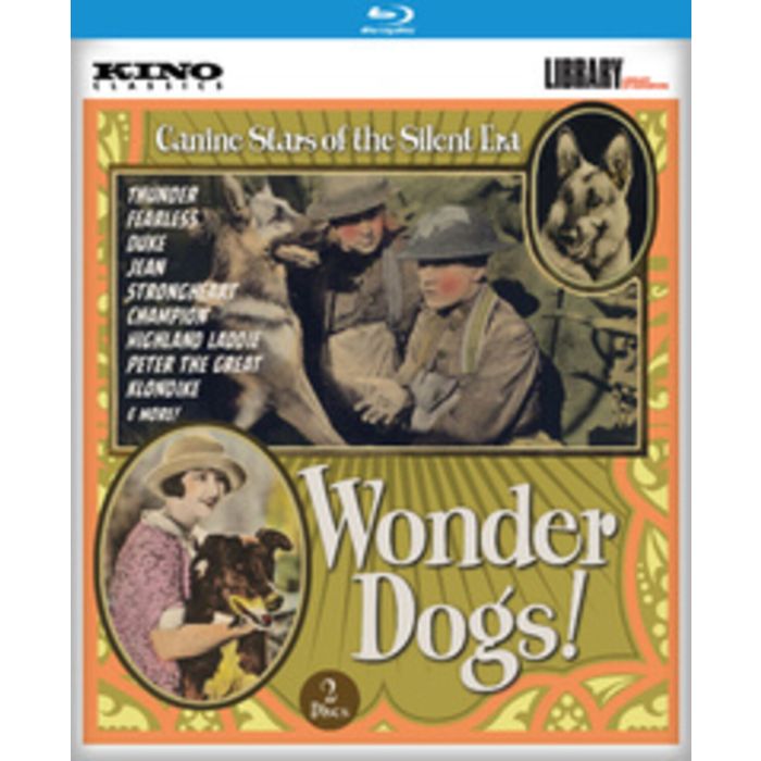 WONDER DOGS!
