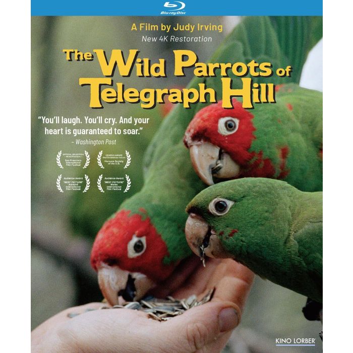 WILD PARROTS OF TELEGRAPH HILL