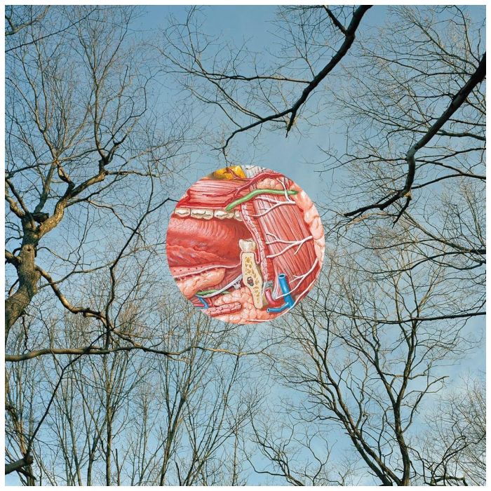 THEY MIGHT BE GIANTS - GLEAN (CLEAR W/ RED WHISPS VINYL)