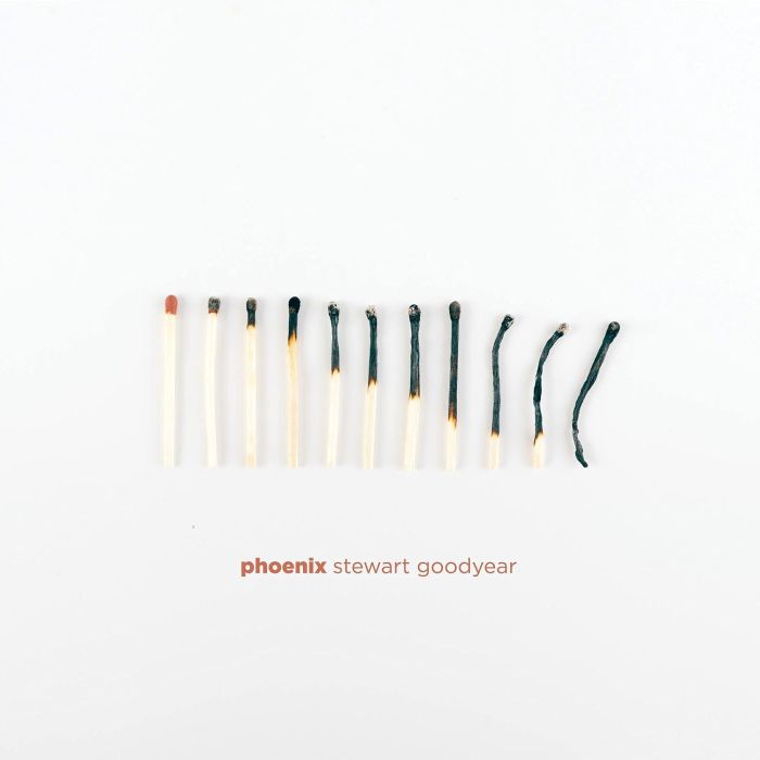 STEWART GOODYEAR - PHOENIX