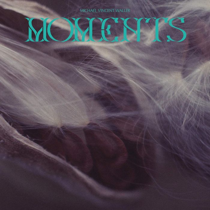 MICHAEL VINCENT WALLER - MOMENTS