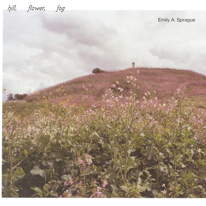 EMILY A. SPRAGUE - HILL, FLOWER, FOG
