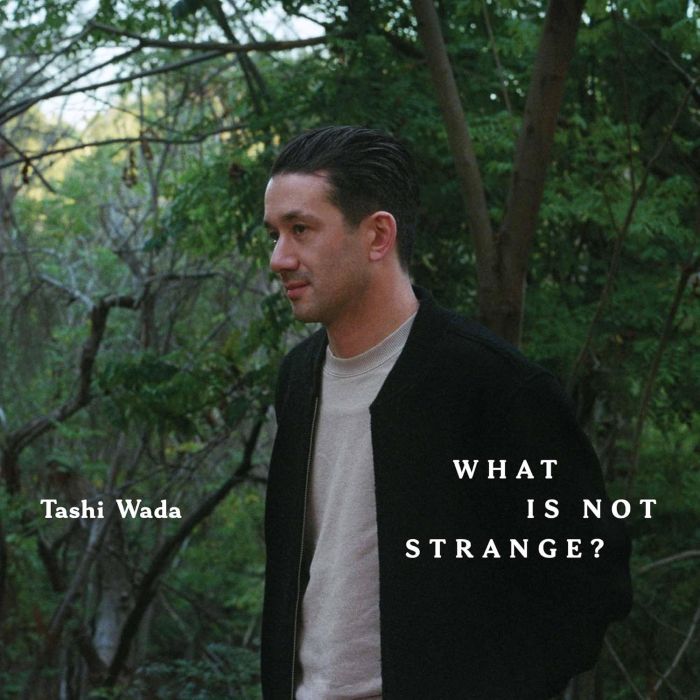 TASHI WADA - WHAT IS NOT STRANGE?
