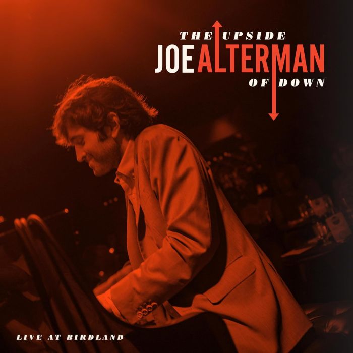 JOE ALTERMAN - UPSIDE OF DOWN