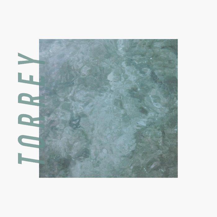 TORREY - TORREY (OAT MILK WHITE VINYL)