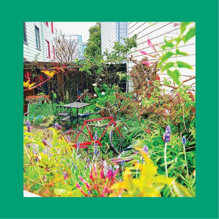 REDS, PINKS & PURPLES - UNWISHING WELL (NASTURTIUM ORANGE VINYL)