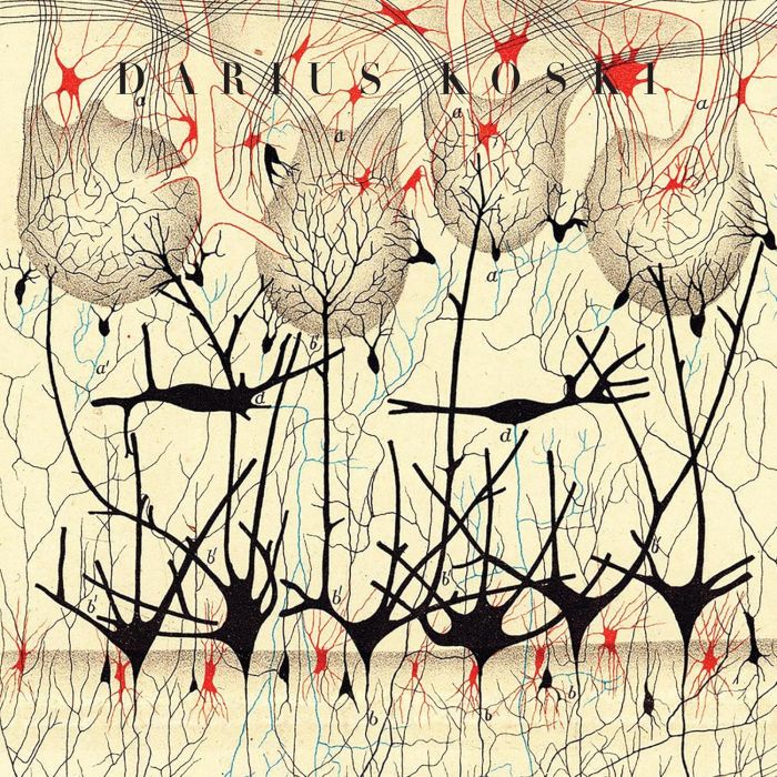DARIUS KOSKI - OFF WITH THEIR HEADS