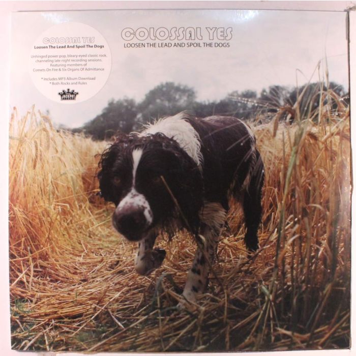 COLOSSAL YES - LOOSEN THE LEAD & SPOIL THE DOGS
