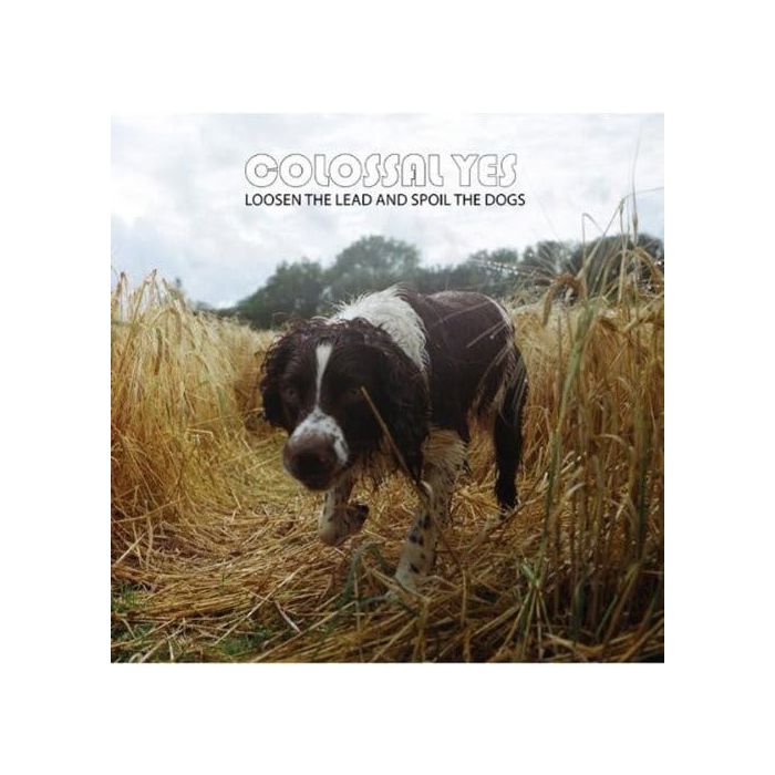 COLOSSAL YES - LOOSEN THE LEAD & SPOIL THE DOGS