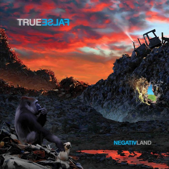 NEGATIVLAND - TRUE FALSE