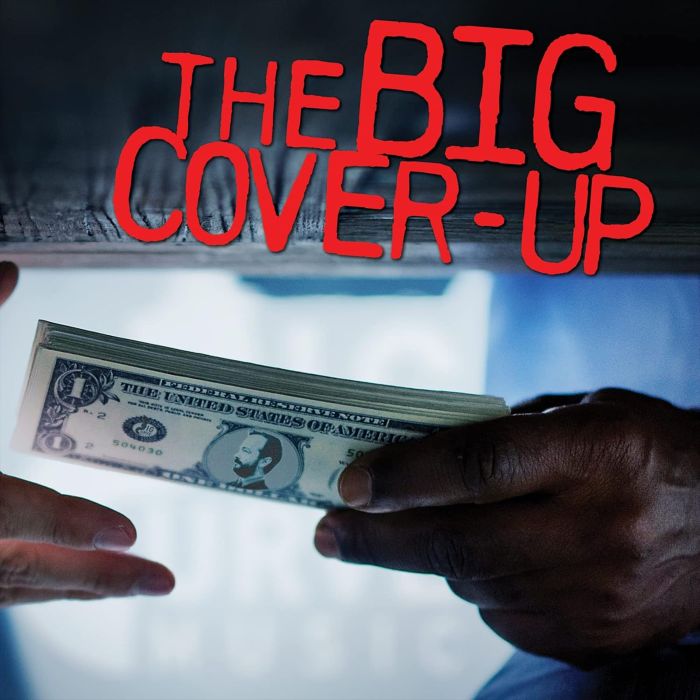 VARIOUS ARTISTS - BIG COVER-UP