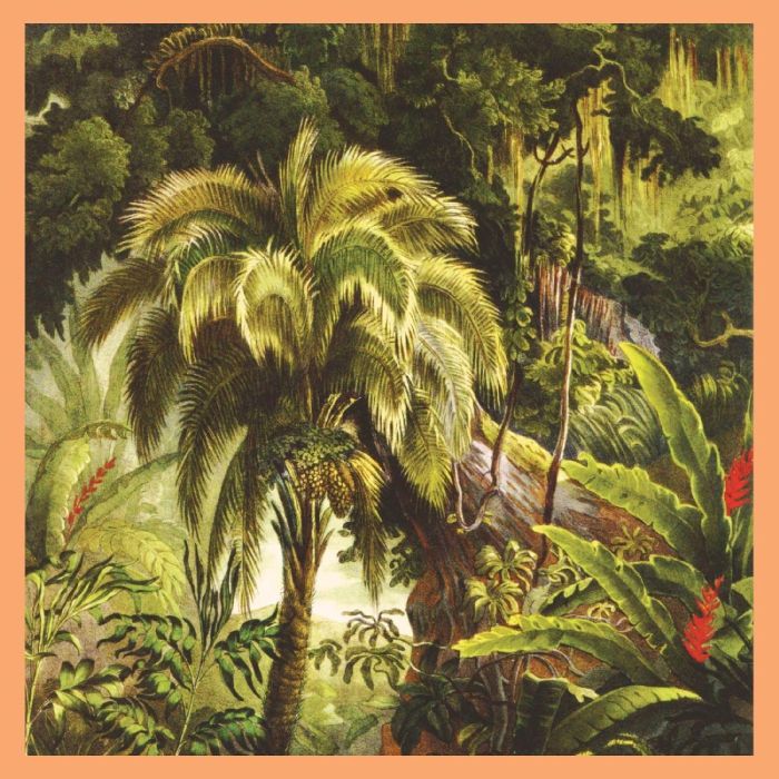 XIU XIU - LA FORET (JADE ECO-MIX VINYL)