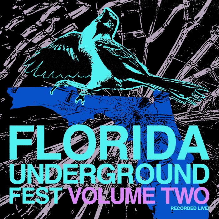 VARIOUS ARTISTS - FLORIDA UNDERGROUND FEST VOL. 2