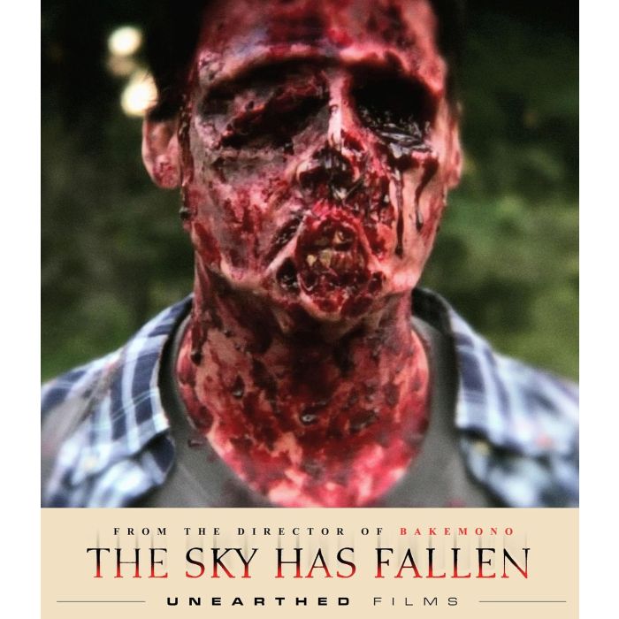 SKY HAS FALLEN