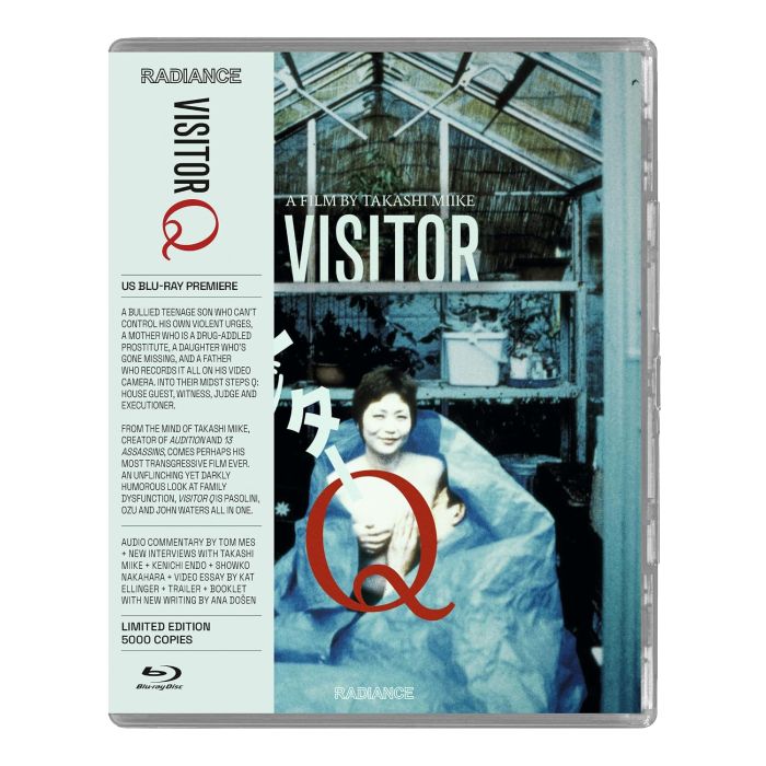 VISITOR Q