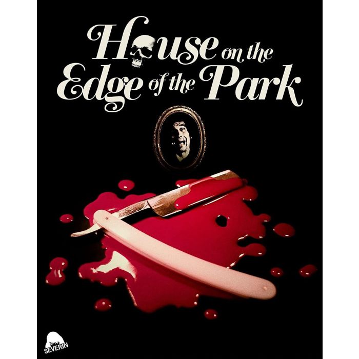 HOUSE ON THE EDGE OF THE PARK