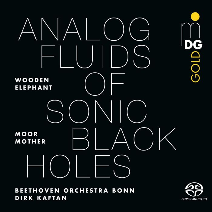 MOOR MOTHER - ANALOG FLUIDS OF SONIC BLACK HOLES