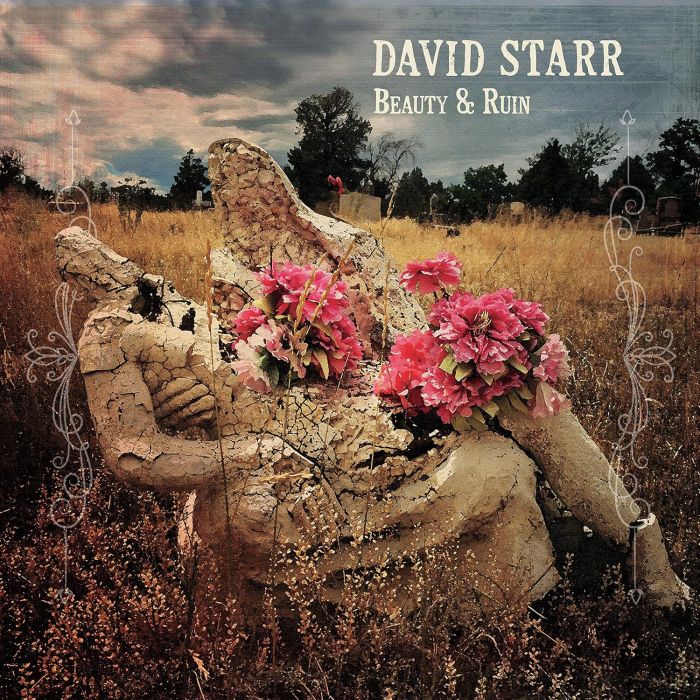 DAVID STARR - BEAUTY & RUIN