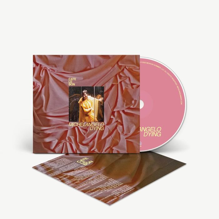 CATE LE BON - MICHELANGELO DYING