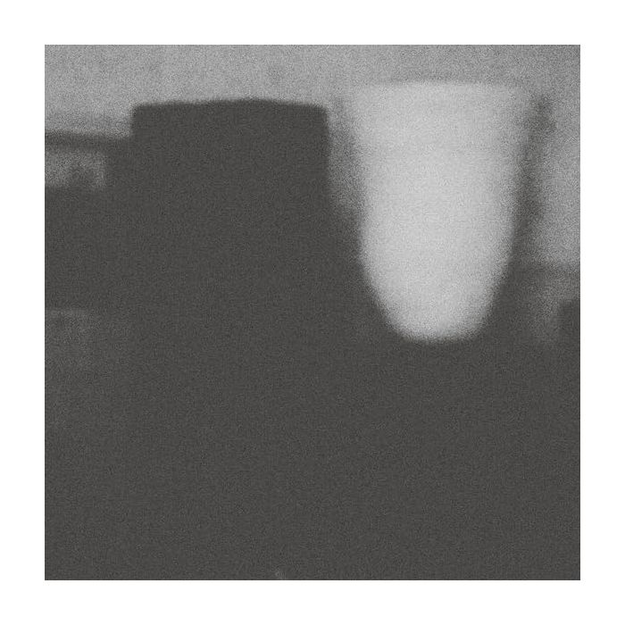 MERZBOW - PROSPERITY OF VICE, THE MISFORTUNE OF VIRTUE
