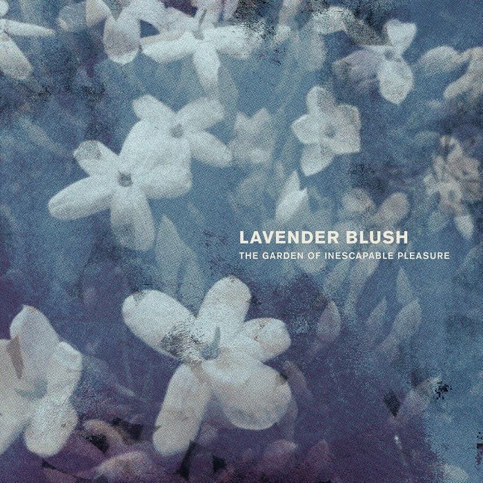 LAVENDER BLUSH - GARDEN OF INESCAPABLE PLEASURE
