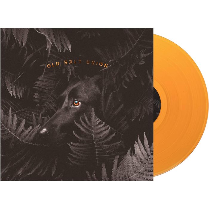 OLD SALT UNION - WHERE THE DOGS DON'T BITE