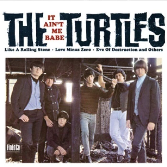 TURTLES - IT AIN'T ME BABE