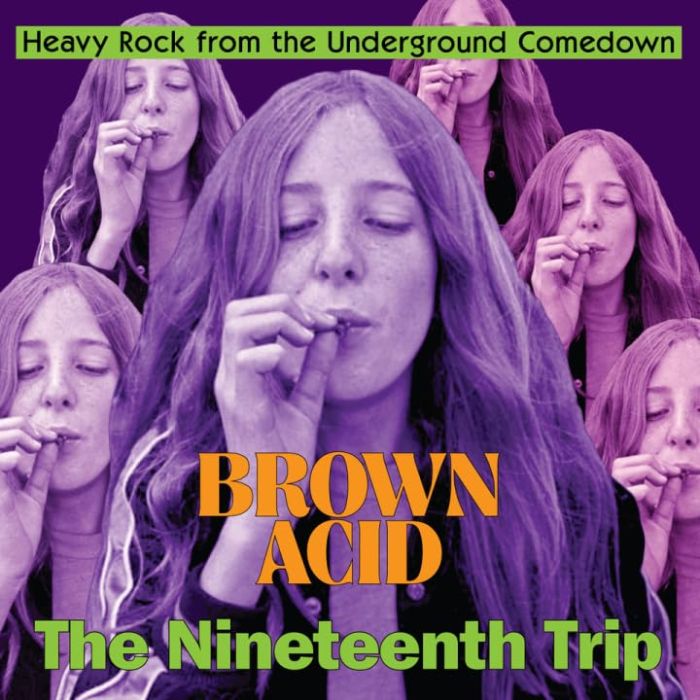 VARIOUS ARTISTS - BROWN ACID - THE NINETEENTH TRIP