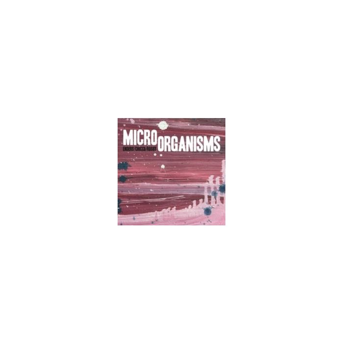 ENDERS,JOHANNES; RENATO CHICCO & JORGE ROSSY - MICRO ORGANISMS
