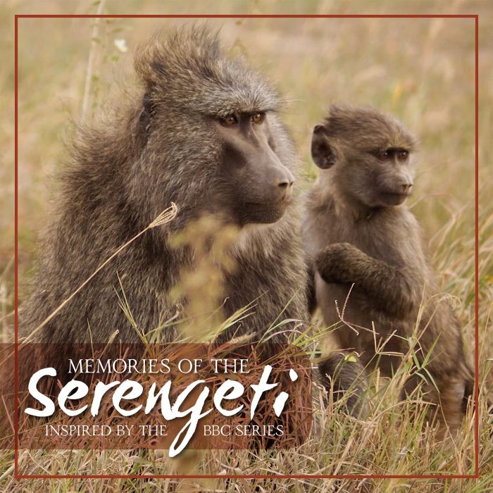 VARIOUS ARTISTS - MEMORIES OF SERENGETI