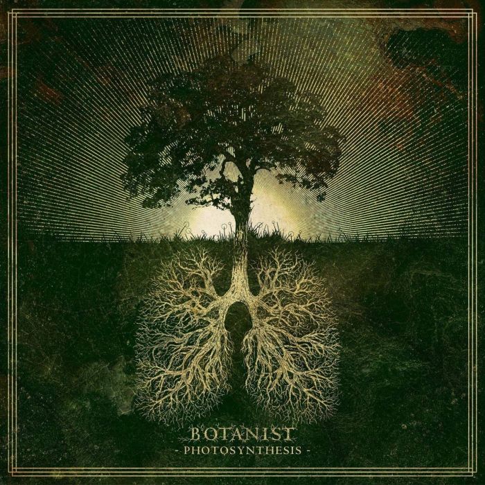 BOTANIST - PHOTOSYNTHESIS
