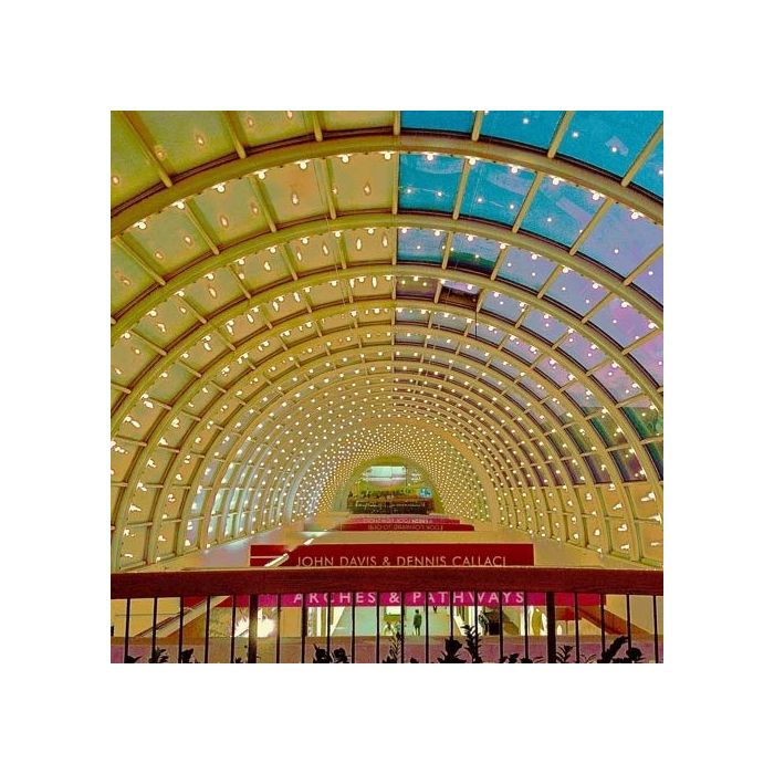 DAVIS,JOHN & DENNIS CALLACI - ARCHES & PATHWAYS