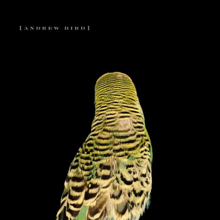 ANDREW BIRD - ARMCHAIR APOCRYPHA