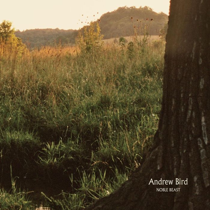 ANDREW BIRD - NOBLE BEAST