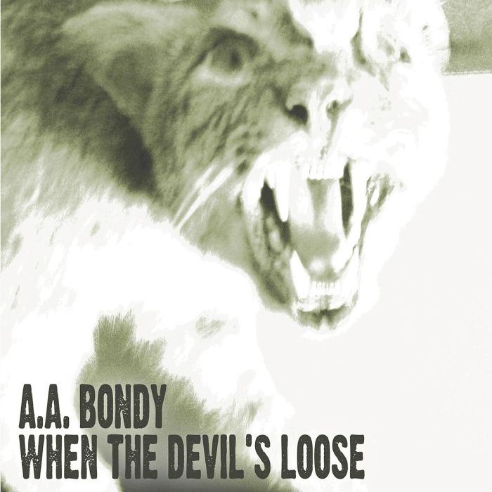 A.A. BONDY - WHEN THE DEVIL'S LOOSE