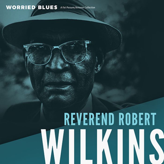 Reverend Robert Wilkins - Worried Blues
