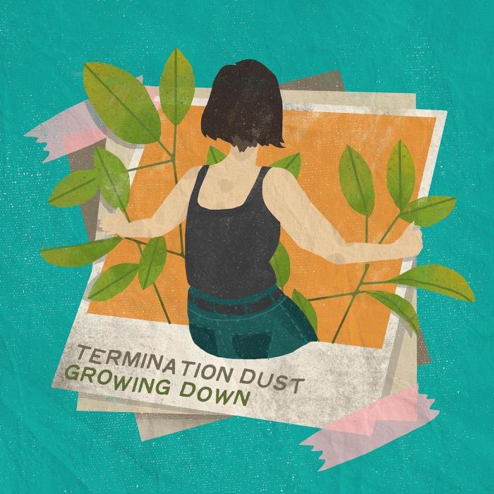 TERMINATION DUST - GROWING DOWN